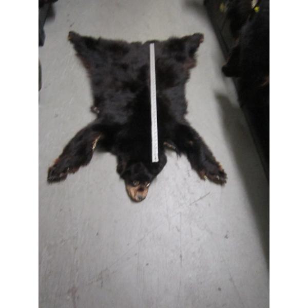 TANNED BLACK BEAR HIDE