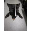 Image 1 : TANNED BLACK BEAR HIDE