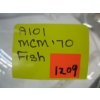 Image 4 : MCM 70s FISH