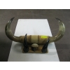 Image 1 : SET OF MOUNTED BULL HORNS