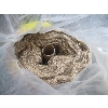Image 4 : ROLL OF BURLAP