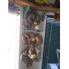 Image 1 : VINTAGE SPORTS EQUIPMENT - GLOVES, BOXING GLOVES, BATS, ETC.