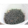 Image 3 : 2 PAILS OF ASST. NAILS