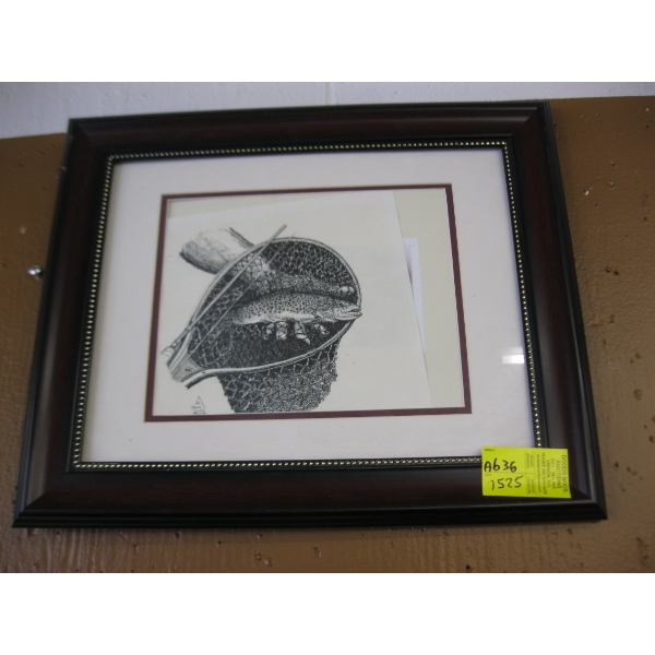 PICTURE OF FISH & NET