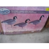 Image 1 : PRO SERIES CANADA GOOSE DECOYS
