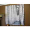 Image 1 : LG. CANVAS PICTURE OF TREES