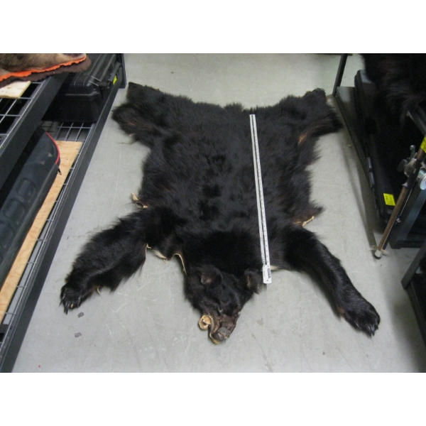 TANNED BLACK BEAR HIDE