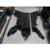 Image 1 : TANNED BLACK BEAR HIDE