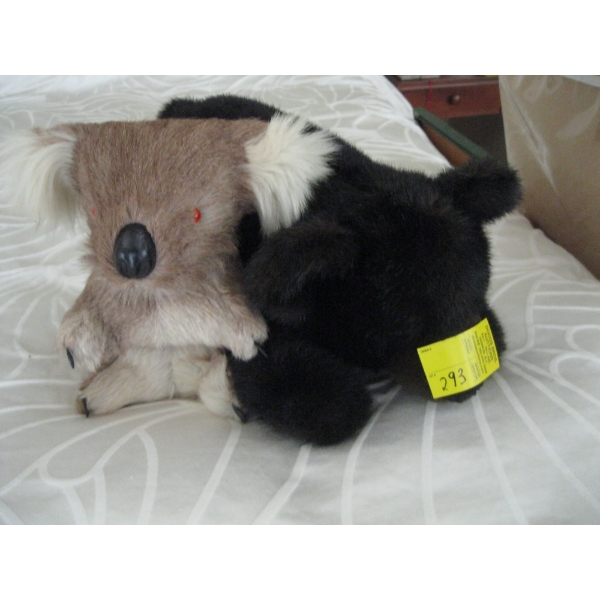 KOALA BEAR & BLACK BEAR