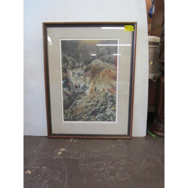 FRAMED NUMBERED PRINT "THE SUNNING ROCK" BY DARREN HALAY