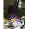 SPIKED ROLLER