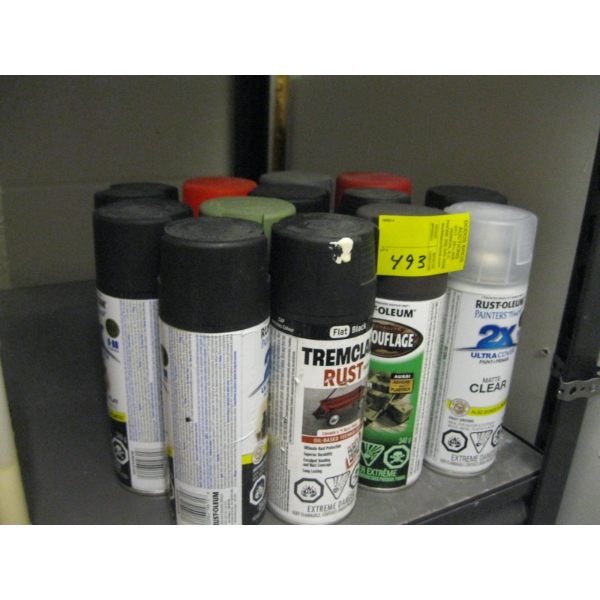 ASST. SPRAYPAINT