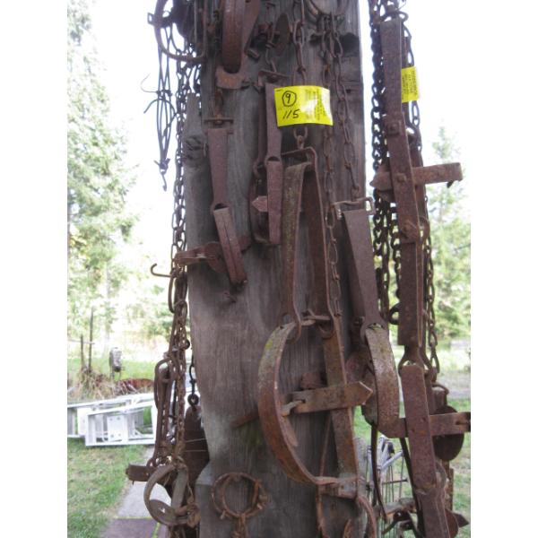 9 SINGLE SPRING TRAPS