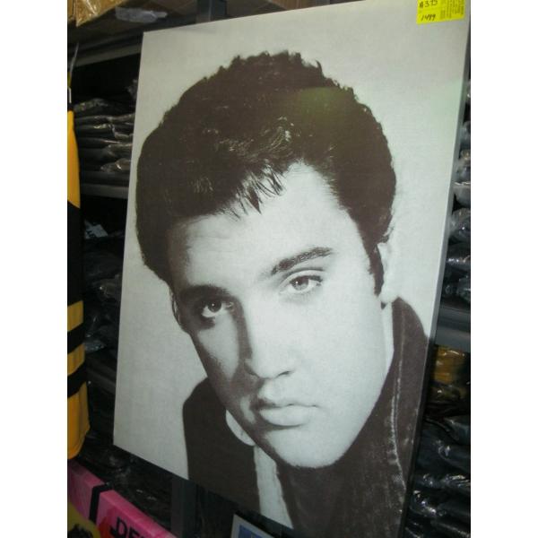 PICTURE OF ELVIS
