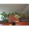 Image 1 : COPPER WASHTUB W/ARTIFICIAL PLANTS
