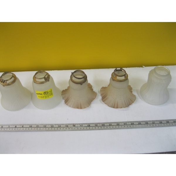 5 FROSTED GLASS SHADES