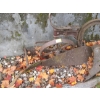 Image 3 : PLOW & ASST. BLADES