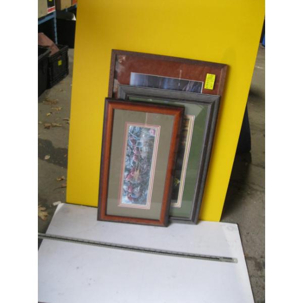 3 FRAMED WILDLIFE PICTURES - QUAIL, COUGARS?, LOON