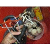 Image 2 : PAIR OF SKATES, SZ 10, A BASKETBALL, TENNIS BALLS, BASEBALL GLOVES, ETC.