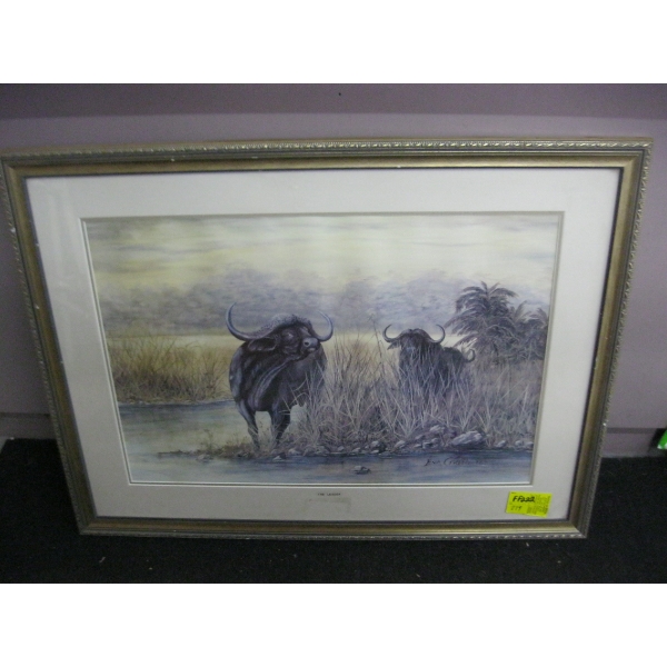 FRAMED PRINT OF WATER BUFFALOS BY EVA GREEN