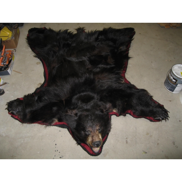 BLACK BEAR RUG W/HEAD MOUNT