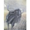 Image 2 : PAINTING OF 2 WATER BUFFALO BY EVA GREEN