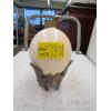 Image 2 : CARVED OSTRICH EGG