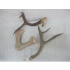 Image 2 : SM. BOX OF ANTLERS