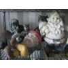 Image 1 : GARDEN FIGURINES