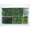 Image 1 : LG. LOT OF HO SIZE TRAIN LANDSCAPING TREES