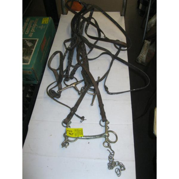 BRIDLE W/REINS