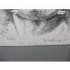 Image 7 : 4 FRAMED NATIVE CHIEF PRINTS