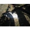 Image 2 : SINGLE PLOW