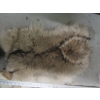Image 3 : 2 TANNED COYOTE HIDES