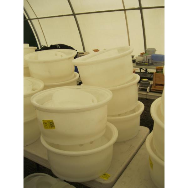 5 LG. CHEESE MOULDS