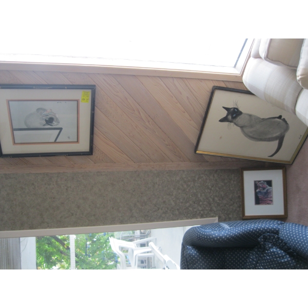 3 FRAMED PICTURES - 2 OF CATS, 1 OF TIGER