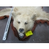 Image 2 : SMALL BROWN BEAR RUG W/HEAD MOUNT