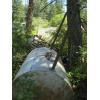 Image 2 : ASST. SCRAP STEEL INCLUDING SM. TRAILER, OLD FUEL TANK, ROLLERS, PALLET JACK, ETC.