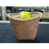 Image 1 : BIRCH BARK BASKET