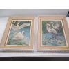 Image 1 : 2 BIRD PICTURES