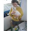 Image 9 : 7 PLASTIC FIGURINES