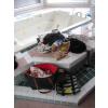 Image 2 : MISC. BAGS, HATS, BELTS, ETC.