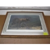 Image 1 : COUGAR PICTURE