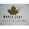 Image 3 : MAPLE LEAF POWER SYSTEM MOOSE 48V 280H - POWER BANK SOLAR STORAGE SYSTEM