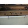 Image 3 : 2 OIL PAINTINGS BY D. YOUNG