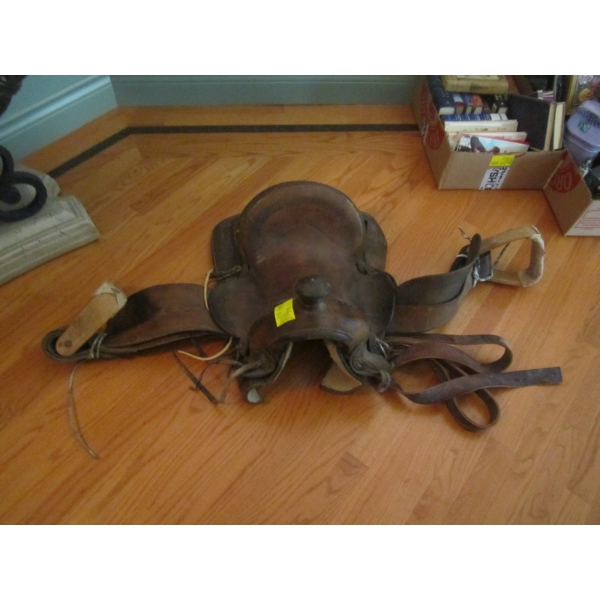 SM. SADDLE