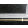 Image 2 : FRAMED NUMBERED PRINT OF BLACK PANTHER BY CARL BRENDERS 567/950