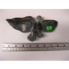 Image 1 : SOAPSTONE CARVING OF EAGLE, SIGNED RUTH