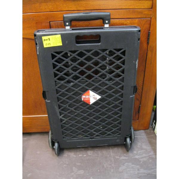 2 FOLDING CARTS, WINDOW SCREEN & CANE