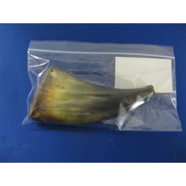 HORN POWDER HORN